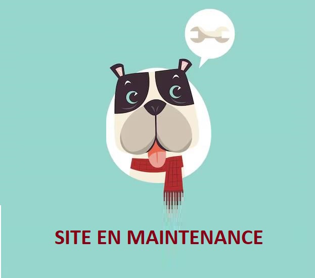 DOGGYNESS EDUQUER AVEC LE COEUR